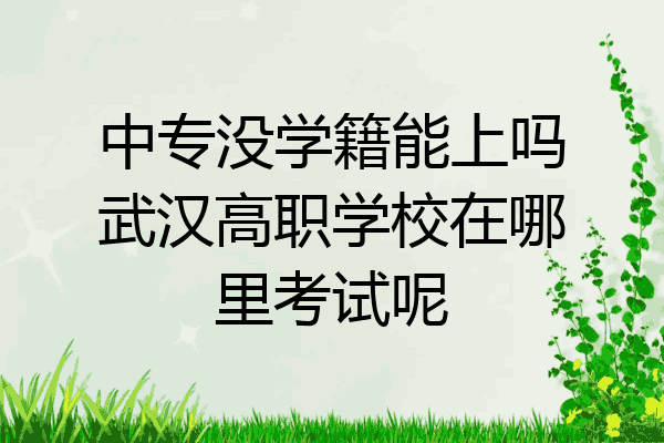 中专没学籍能上吗武汉高职学校在哪里考试呢