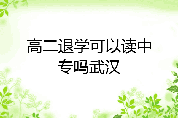 高二退学可以读中专吗武汉