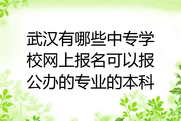 武汉有哪些中专学校网上报名可以报公办的专业的本科