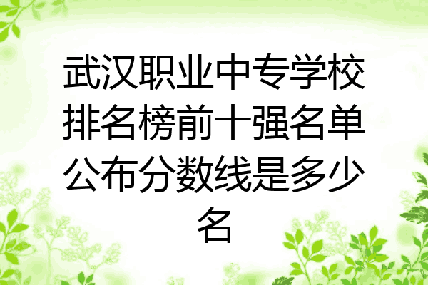 武汉职业中专学校排名榜前十强名单公布分数线是多少名