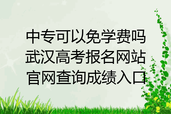 中专可以免学费吗武汉高考报名网站官网查询成绩入口