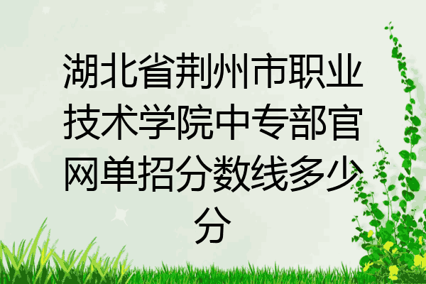 湖北省荆州市职业技术学院中专部官网单招分数线多少分