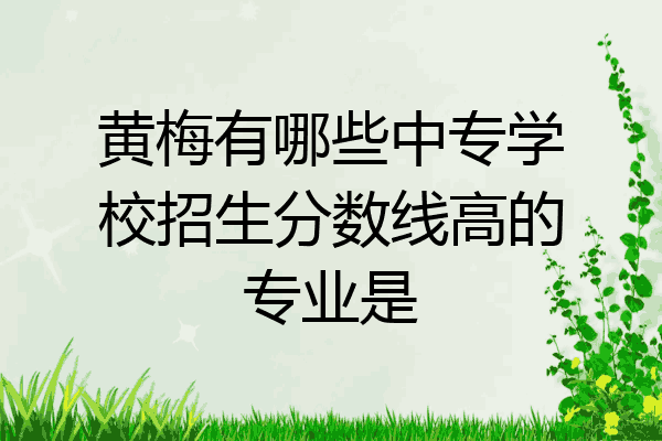 黄梅有哪些中专学校招生分数线高的专业是
