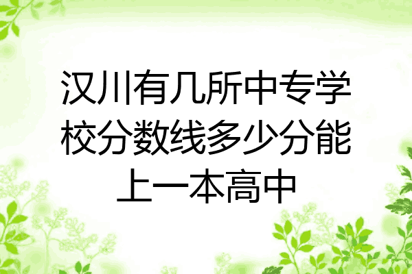 汉川有几所中专学校分数线多少分能上一本高中