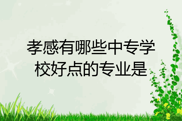 孝感有哪些中专学校好点的专业是