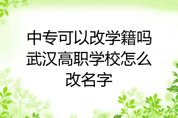 中专可以改学籍吗武汉高职学校怎么改名字