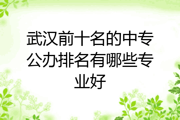 武汉前十名的中专公办排名有哪些专业好