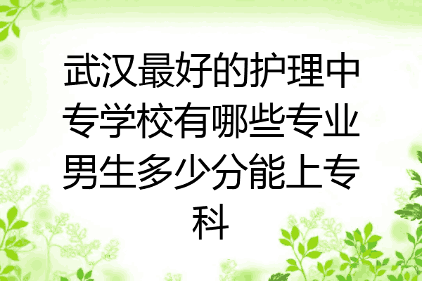 武汉最好的护理中专学校有哪些专业男生多少分能上专科