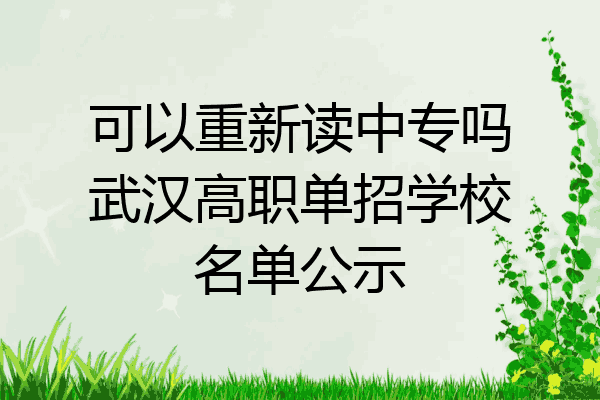 可以重新读中专吗武汉高职单招学校名单公示