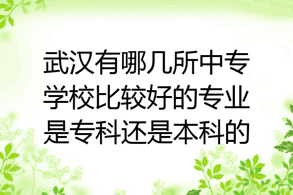 武汉有哪几所中专学校比较好的专业是专科还是本科的