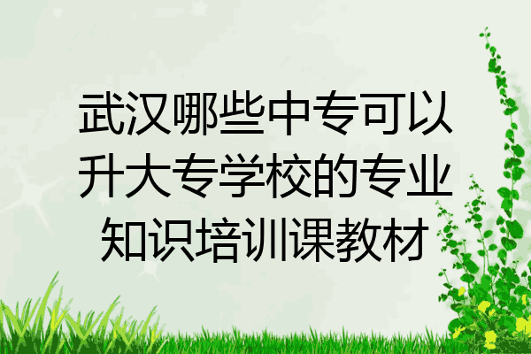 武汉哪些中专可以升大专学校的专业知识培训课教材