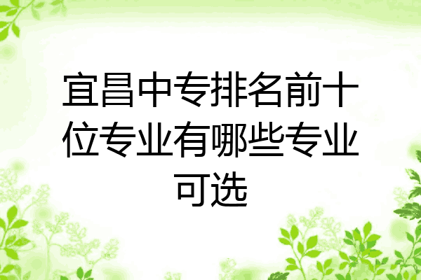 宜昌中专排名前十位专业有哪些专业可选