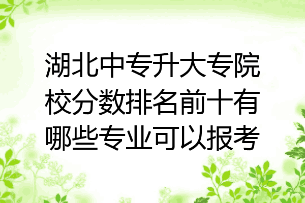 湖北中专升大专院校分数排名前十有哪些专业可以报考