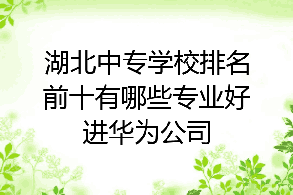 湖北中专学校排名前十有哪些专业好进华为公司