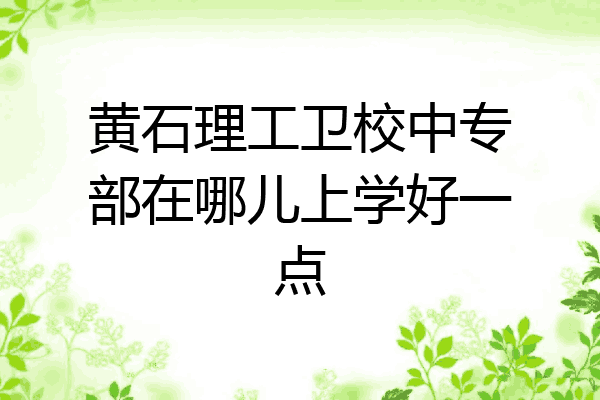 黄石理工卫校中专部在哪儿上学好一点