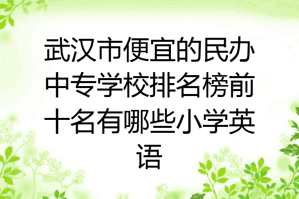 武汉市便宜的民办中专学校排名榜前十名有哪些小学英语