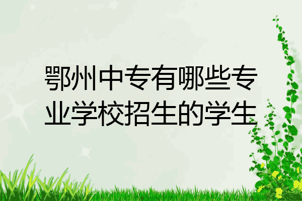 鄂州中专有哪些专业学校招生的学生