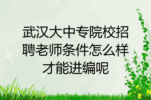 武汉大中专院校招聘老师条件怎么样才能进编呢