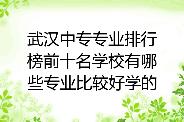 武汉中专专业排行榜前十名学校有哪些专业比较好学的
