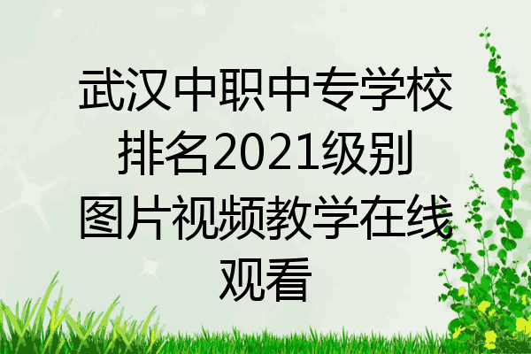 武汉中职中专学校排名2021级别图片视频教学在线观看
