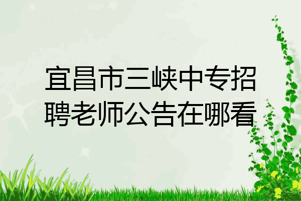 宜昌市三峡中专招聘老师公告在哪看