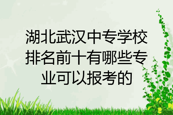 湖北武汉中专学校排名前十有哪些专业可以报考的