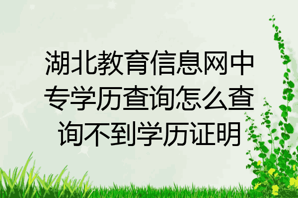 湖北教育信息网中专学历查询怎么查询不到学历证明