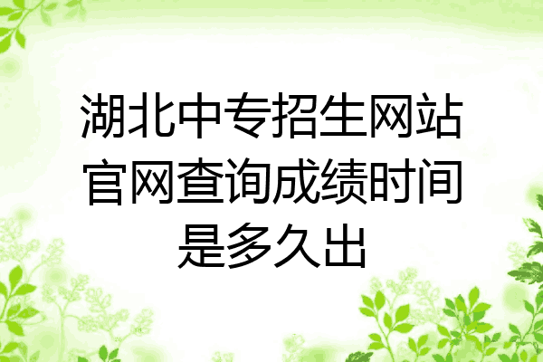 湖北中专招生网站官网查询成绩时间是多久出