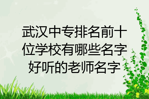 武汉中专排名前十位学校有哪些名字好听的老师名字