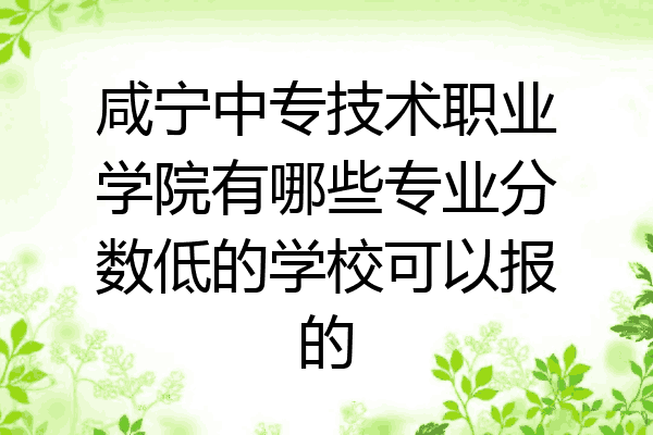 咸宁中专技术职业学院有哪些专业分数低的学校可以报的