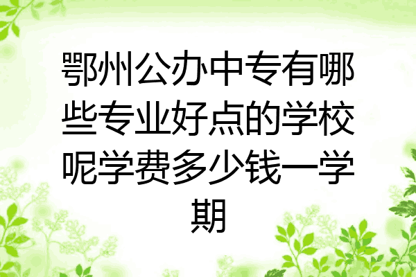 鄂州公办中专有哪些专业好点的学校呢学费多少钱一学期