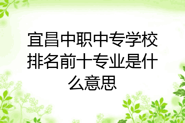 宜昌中职中专学校排名前十专业是什么意思