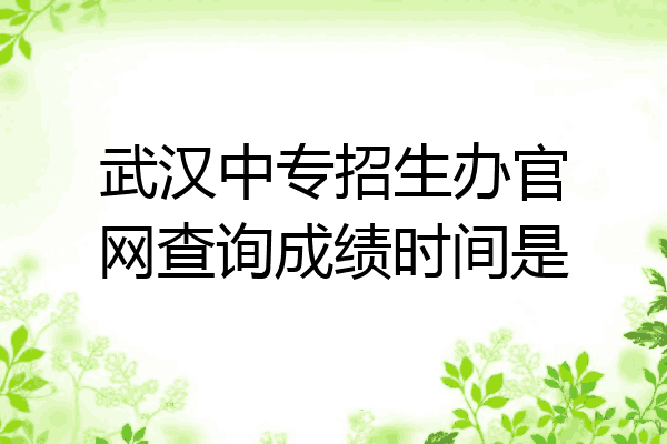 武汉中专招生办官网查询成绩时间是