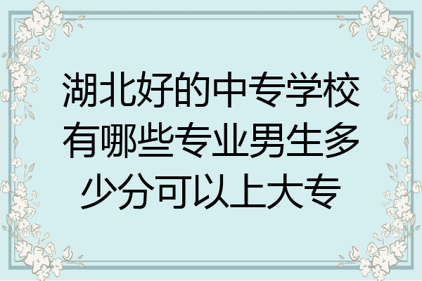 湖北好的中专学校有哪些专业男生多少分可以上大专