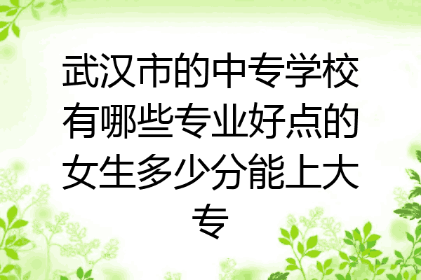 武汉市的中专学校有哪些专业好点的女生多少分能上大专