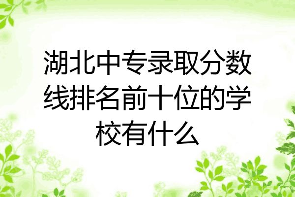 湖北中专录取分数线排名前十位的学校有什么