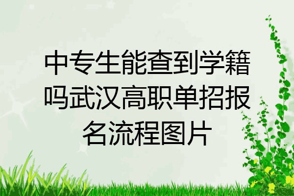 中专生能查到学籍吗武汉高职单招报名流程图片