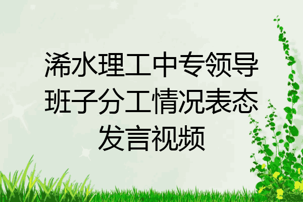 浠水理工中专领导班子分工情况表态发言视频