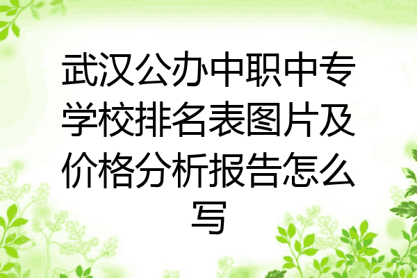 武汉公办中职中专学校排名表图片及价格分析报告怎么写