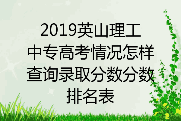 2019英山理工中专高考情况怎样查询录取分数分数排名表