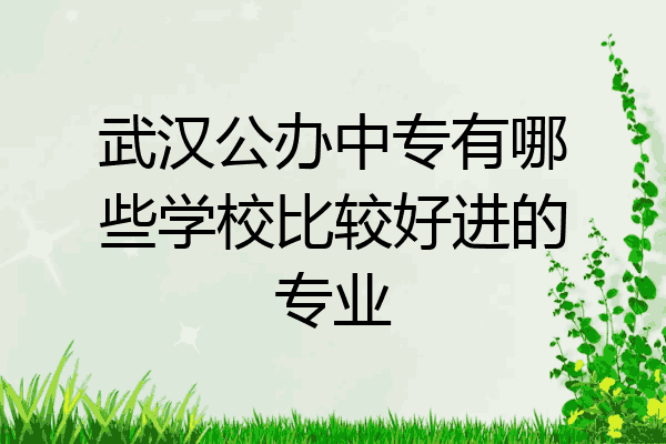 武汉公办中专有哪些学校比较好进的专业