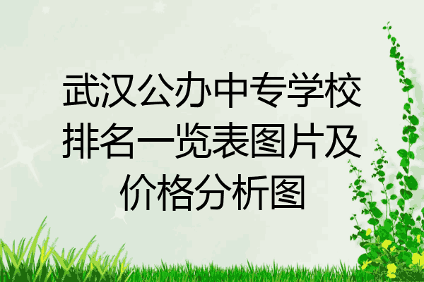 武汉公办中专学校排名一览表图片及价格分析图