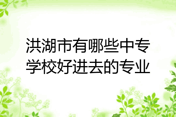 洪湖市有哪些中专学校好进去的专业