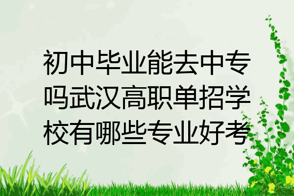 初中毕业能去中专吗武汉高职单招学校有哪些专业好考