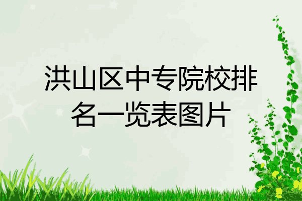 洪山区中专院校排名一览表图片