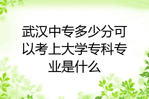 武汉中专多少分可以考上大学专科专业是什么