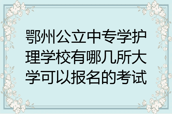 鄂州公立中专学护理学校有哪几所大学可以报名的考试