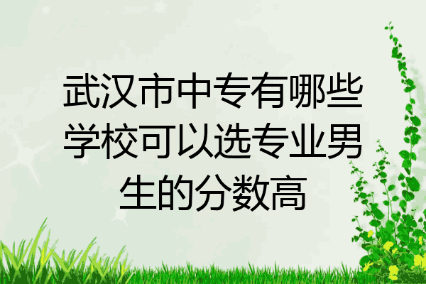 武汉市中专有哪些学校可以选专业男生的分数高