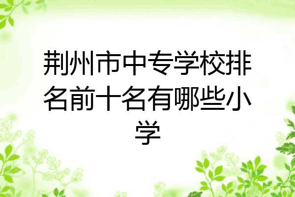 荆州市中专学校排名前十名有哪些小学