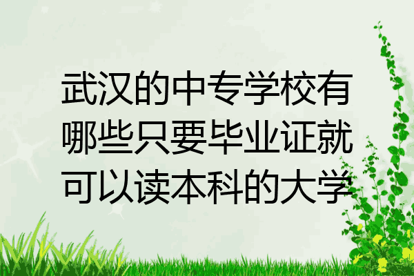 武汉的中专学校有哪些只要毕业证就可以读本科的大学
